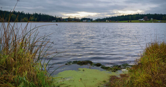 Photo by David Welton