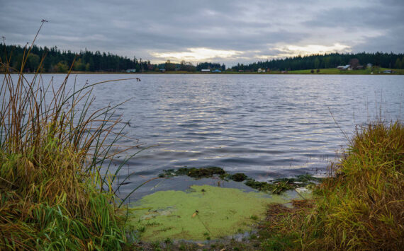 Photo by David Welton