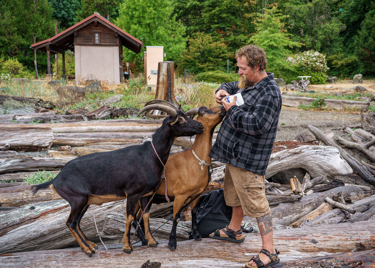 (Photo by David Welton) The goats wait impatiently for their mini doughnuts, a treat Cole doesnt mind sneaking them.
