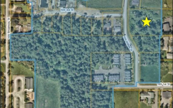 Photo from materials