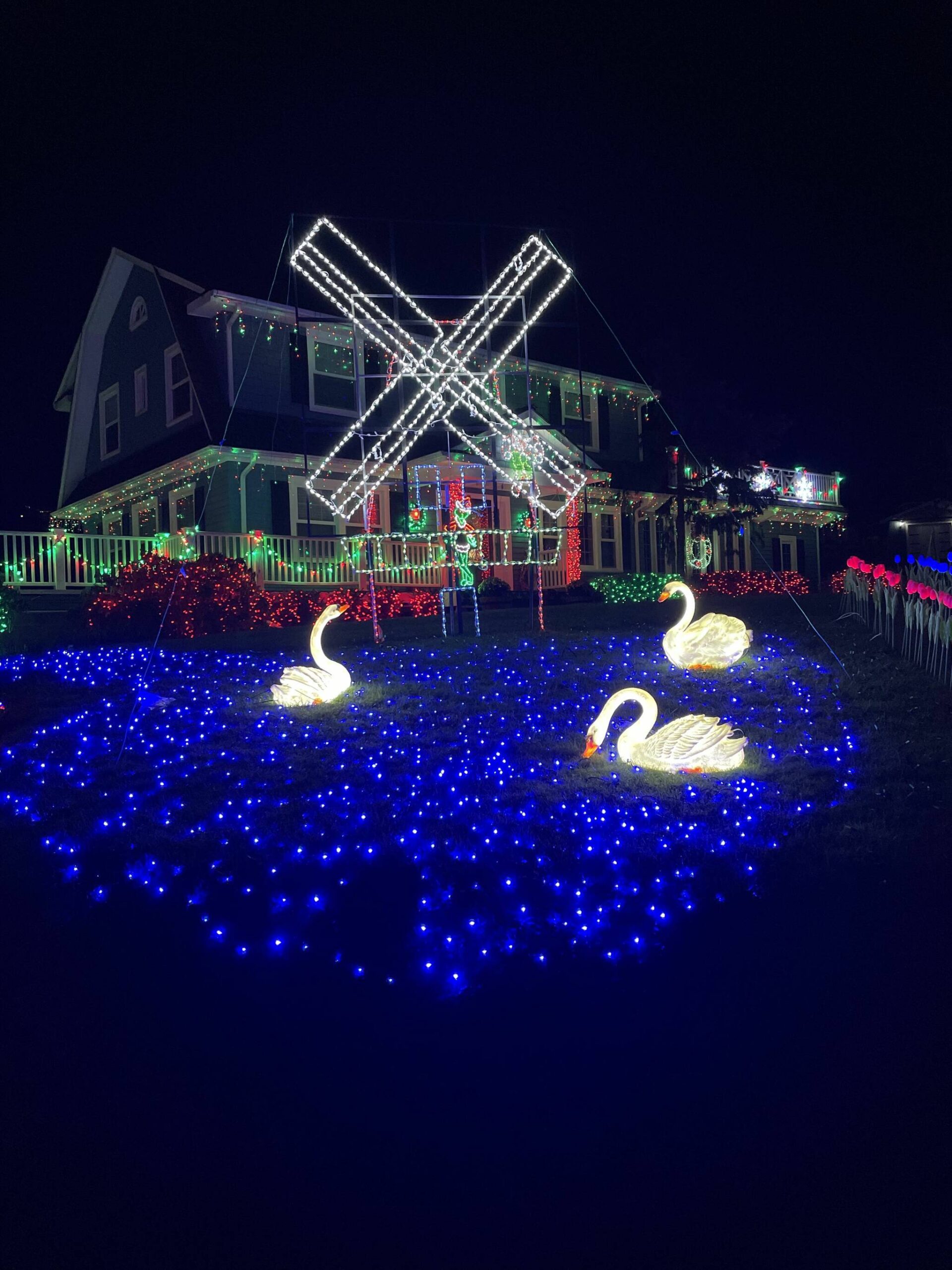 Light display spreads holiday cheer