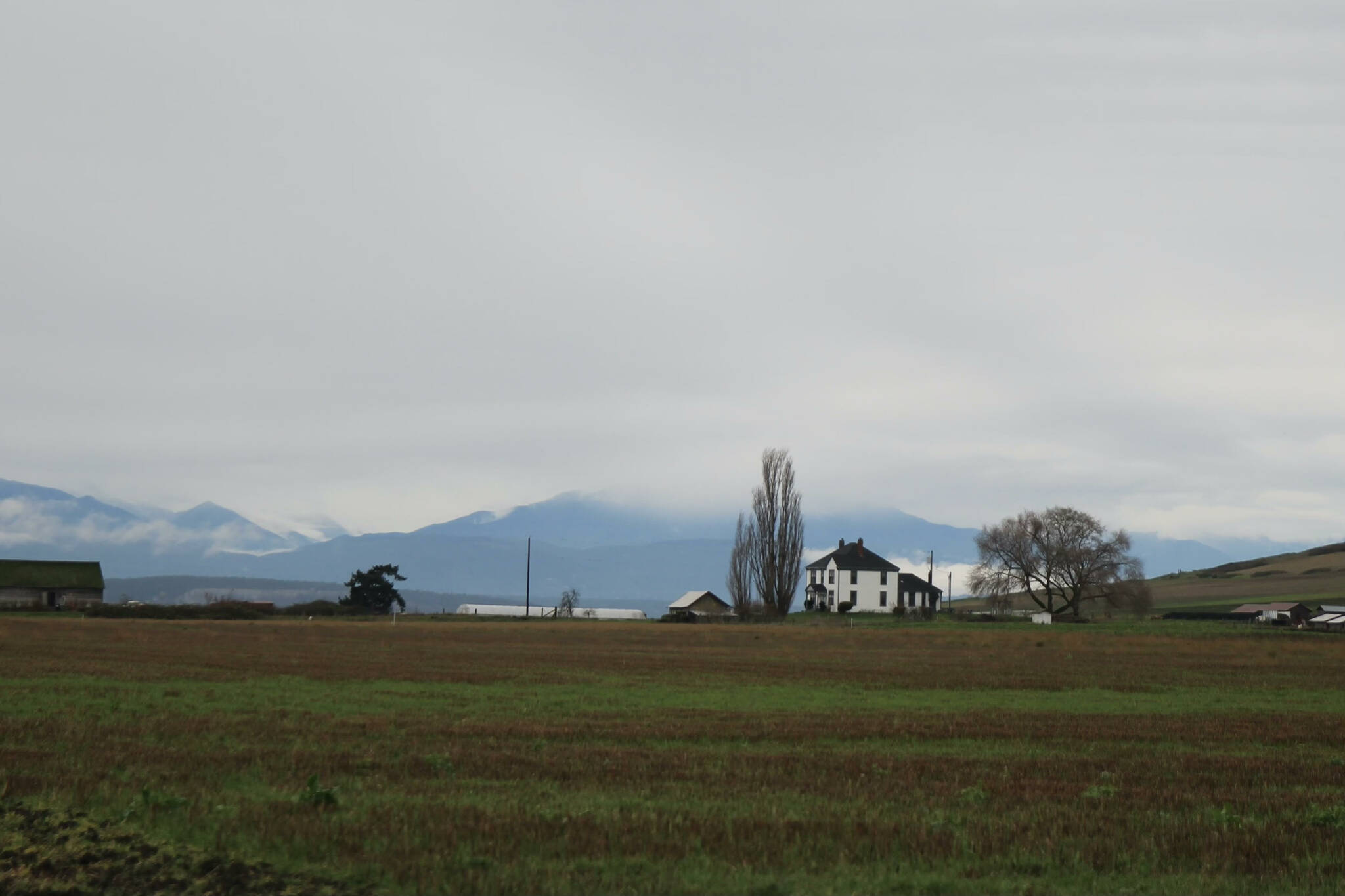 (Photo by Marina Blatt) The real estate market held steady on the North End, while luxury homes were tougher to sell on the South End.