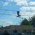 A shoeless man hangs from phone lines on North Oak Harbor Street Sunday. He told rescuers that he was trying to retrieve a pair of shoes. Photo by Robert Rizzo