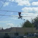 Photo by Robert Rizzo                                A shoeless man hangs from phone lines on North Oak Harbor Street Sunday. He told rescuers that he was trying to retrieve a pair of shoes.