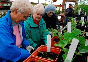 Coupeville Garden Club members Virginia Brown