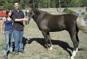 Jesse Caravan and Lindsey VanWetter greet Rebel Thursday morning. The horse came home to the Freeland farm after being missing in the Kettles Trail for 13 days.