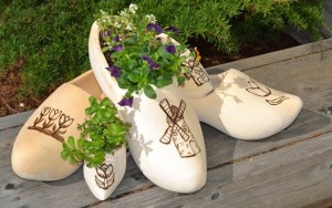 The Oak Harbor Chamber of Commerce came up with a unique way to try to reduce its inventory of klompen. It turned the wooden shoes from the Netherlands into planters. They'll be on sale this weekend at Holland Happening in downtown Oak Harbor.
