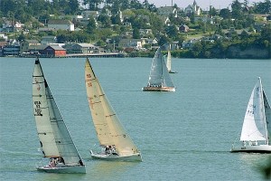 The myriad of sailboats competing in Race Week will be visible all week in Penn Cove. Popular viewpoints to watch the event include any high point in Oak Harbor as well as the Coupeville Wharf