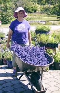 Sarah Richards shares her love of lavender at the Whidbey Gardening Workshop on March 19.