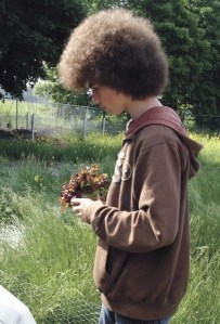 Eighth-Grader Nathan Kircher harvests some spinach for the food bank.