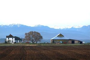 A look west toward the Smith farm and Olympic Mountains from Cook Road in Coupeville