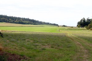 The entire treeline in this image would be eliminated if the Fakkemas choose to log their farm rather than accept a conservation easement just approved by the county commissioners.