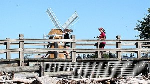 Runners cross the lagoon bridge during Sunday's Whidbey Island Marathon.