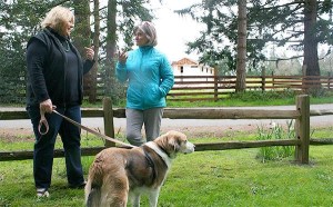 Asara Lovejoy and Maro Walsh stand in their front yards located across the street from the construction of a new event center at Comforts of Whidbey. Residents in the area believe the building will mean louder