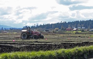 An Ebey’s Reserve farmer plows fields near Crockett Lake Thursday.