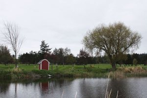 The barn-like cover for the pumphouse reflects the new theme and logo at Whidbey Golf Club