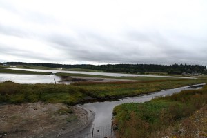 Virtually all the trees on the horizon would be cut under the proposed logging permit.