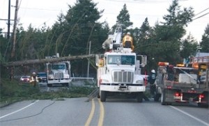 A work crew removes a tree Monday afternoon that downed power lines on Goldie Road in Oak Harbor. Severe winds are expected to blow through Whidbey Island New Year's Day.