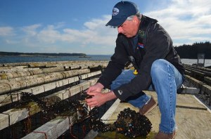 Justin Burnett/Whidbey News-Times Tim Jones