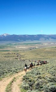 Hundreds of people participate in the ride each year