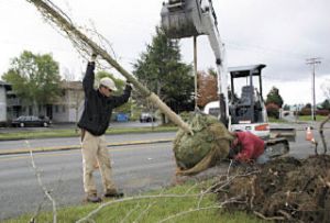 Dave Batterman and Jeremy Braughton of Agape Gardening and Landscaping