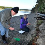 Above, Ruth Richards, right, a member of the Island County Marine Resources, and Jamie Harltey, left, a volunteer and member of Sound Water Stewards, sift through sand samples at Cornet Bay Friday to test for the presence of forage fish eggs. The abundance of forage fish is critical to the ecosystem and food chain in Puget Sound.