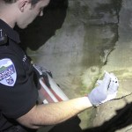 Langley Police Officer Mason Shoudy reaches down to pick up a syringe found underneath the Dog House in Langley. Photo by Evan Thompson/Whidbey News Group