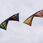 Soaring through fall