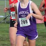 Smith paces Wildcats at state meet / Cross country