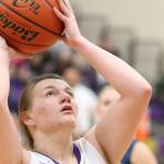 Winter prep preview: Wildcats, Wolves set to begin 2016-17 season