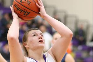 Winter prep preview: Wildcats, Wolves set to begin 2016-17 season