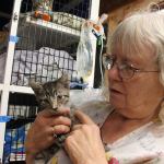 Photo by Kyle Jensen / Whidbey News Group                                Oasis for Animals owner Jean Favini holds a kitten that survived the fire. Favini has been treating the cats with diuretics and antibiotics.