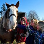 Dakota the Clydesdale spreads joy during holidays