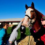 Photo by Michael Watkins/Whidbey News-Times                                A Clydesdale horse named Dakota and owner Ronnie Sitko make an appearance for school children at the Oak Harbor Christian School in Oak Harbor, Dec. 16, 2016.