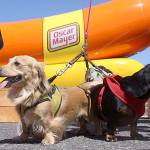 2016 in review: The good, the bad and the weird