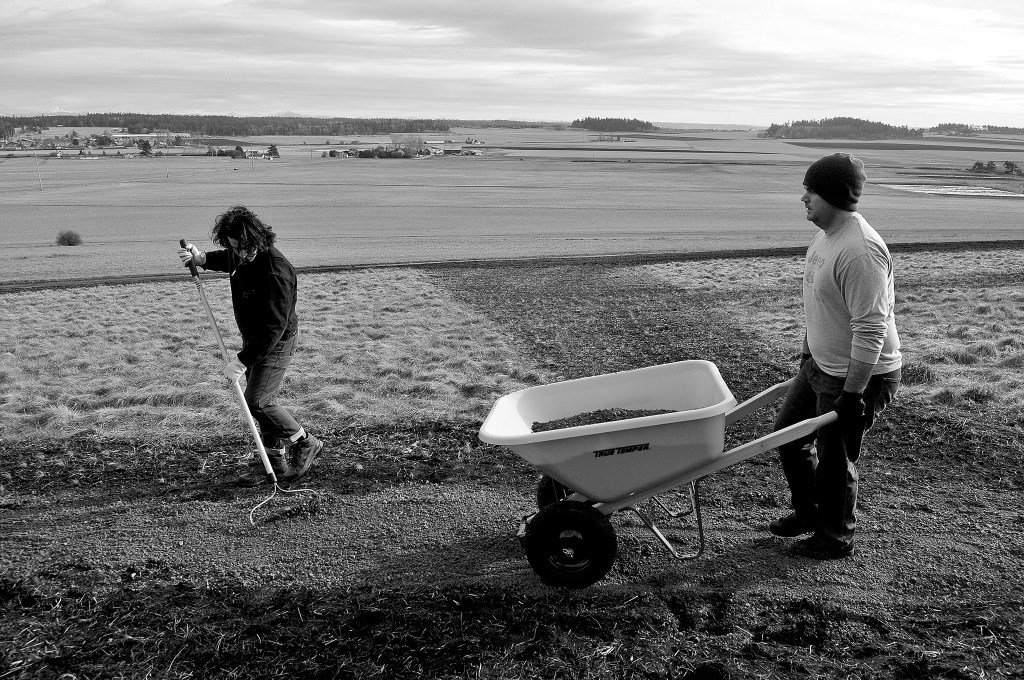 Photo by Michael Watkins/Whidbey News-Times                                Ian Reid, left, a volunteer, and Thomas Skurnick, a second class petty officer from Naval Air Station Whidbey Island, help to restore the Prairie Overlook Trail at Ebey&rsquo;s Landing National Historical Reserve Monday in Coupeville.