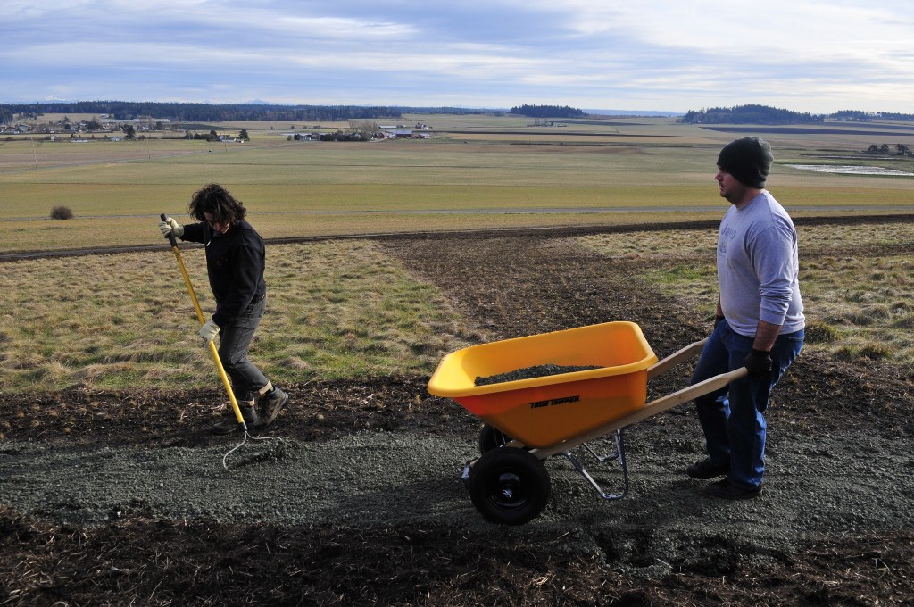Photo by Michael Watkins/Whidbey News-Times                                Ian Reid, left, a volunteer, and Thomas Skurnick, a second class petty officer from Naval Air Station Whidbey Island, help to restore the Prairie Overlook Trail at Ebey&rsquo;s Landing National Historical Reserve Monday in Coupeville.