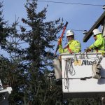 Utility workers work to restore power on Terry Road in Coupeville Saturday, Jan. 14, 2017.