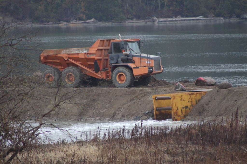 An old dike was breached Oct. 5 to allow saltwater to flow into a freshwater wetland, creating a pocket estuary near Dugualla Bay. A new dike also was built along Dike Road, which is now re-open to traffic. Photo by Ron Newberry/Whidbey News-Times