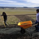 Photo by Michael Watkins/Whidbey News-Times                                Ian Reid, left, a volunteer, and Thomas Skurnick, a second class petty officer from Naval Air Station Whidbey Island, help to restore the Prairie Overlook Trail at Ebey&rsquo;s Landing National Historical Reserve Monday in Coupeville.