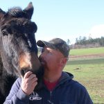 Suspected animal mutilations terrify Whidbey Island family