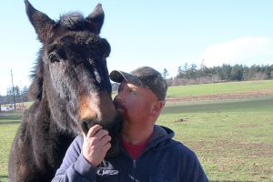 Suspected animal mutilations terrify Whidbey Island family