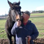 Photo by Jessie Stensland/Whidbey News-Times                                North Whidbey resident John Wallace visits with Buster, a mule that suffered a mysterious eye injury earlier this month.
