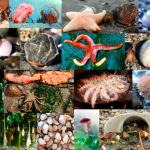 BLOG: Syzygy, Tides and Jonathan White