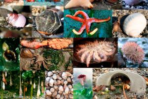 BLOG: Syzygy, Tides and Jonathan White