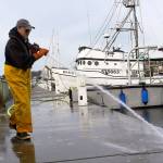 Photo by Ron Newberry/Whidbey News-Times                                A City of Oak Harbor employee sprays down a walkway at the Oak Harbor Marina in late January. The daily exercise keeps the docks free from seagull droppings.