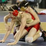 Photos of Wildcats in action / State wrestling