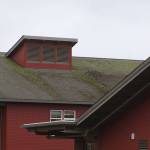 Moss covers the roof at Coupeville High School Thursday, March 2, 2017. The roof is leaking despite being only 10-years-old. Photo by Ron Newberry/Whidbey News-Times