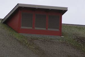 Moss covers the roof at Coupeville High School Thursday, March 2, 2017. The roof is leaking despite being only 10-years-old. Photo by Ron Newberry/Whidbey News-Times