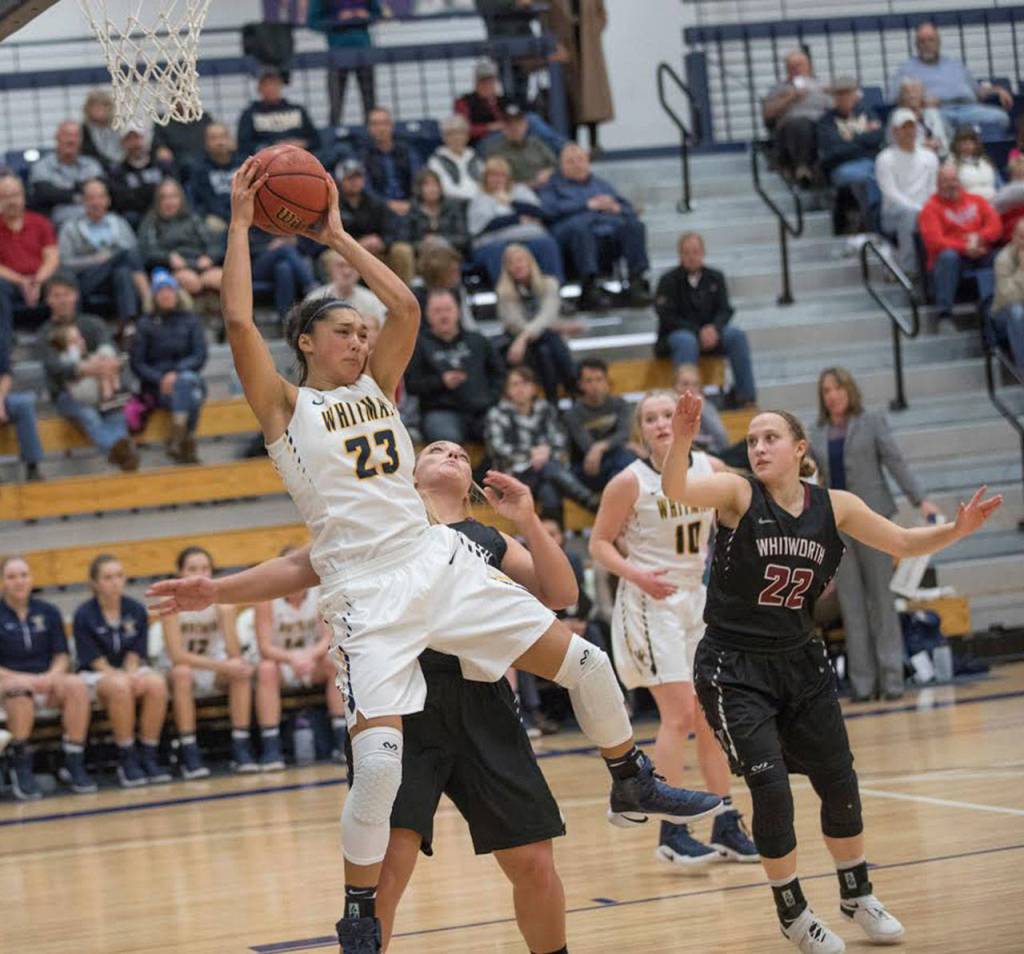Makana Stone hauls in a rebound for Whitman earlier this season. (Photo by Matt Banderas)